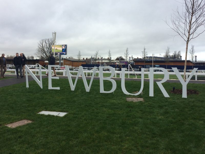 A different experience at the Races: Newbury Racecourse
