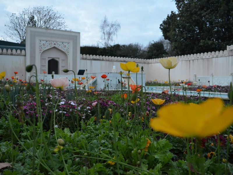 New Zealand v England – 2nd Test Match (2019 Tour)