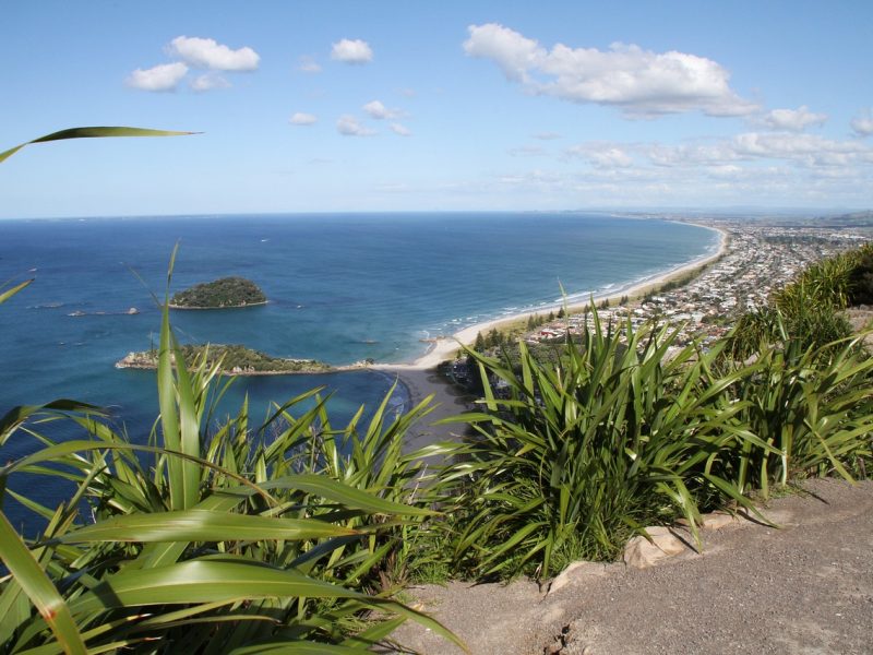 New Zealand v England – 1st Test Match (2019 Tour)