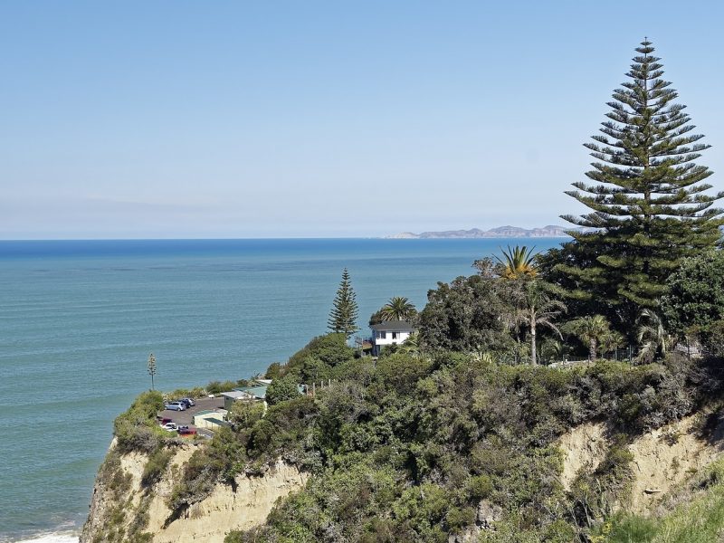 New Zealand v England – 4th Twenty20 International (2019 Tour)