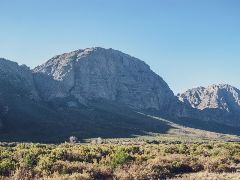 South Africa v England – 2nd Twenty20 International (2020 Tour)